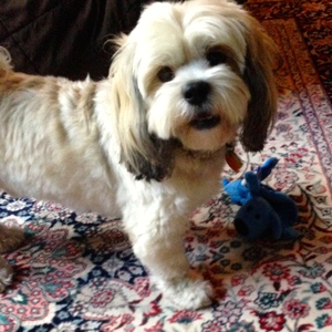 Jeannie Walsh & McGee